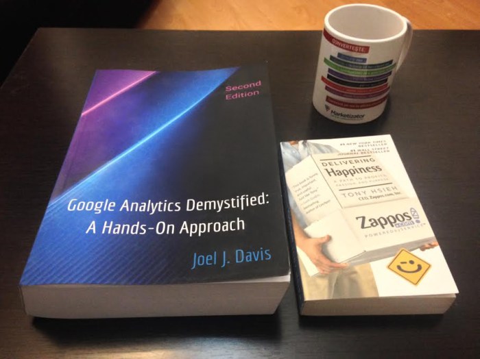 google-analytics-demystified-book